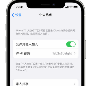 玛沁apple服务站点分享iPhone上个人热点丢失了怎么办