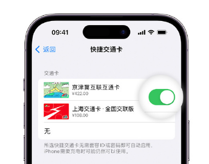 玛沁apple维修点分享iPhone上更换Apple Pay快捷交通卡手绘卡面 