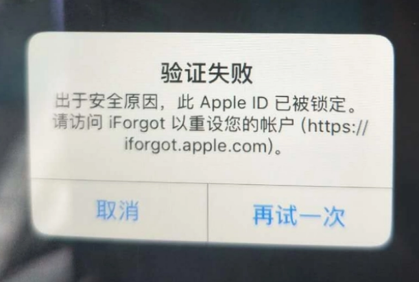 玛沁iPhone维修分享iPhone上正常登录或使用AppleID怎么办 