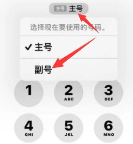 玛沁苹果14维修店分享iPhone 14 Pro Max使用副卡打电话的方法 