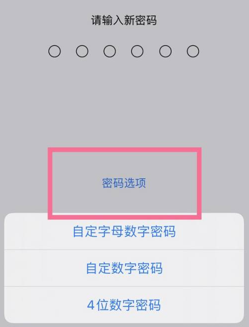 玛沁苹果14维修分享iPhone 14plus设置密码的方法 