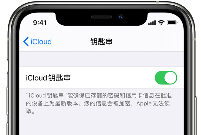 玛沁苹果手机维修分享在 iPhone 上开启 iCloud 钥匙串之后会储存哪些信息 