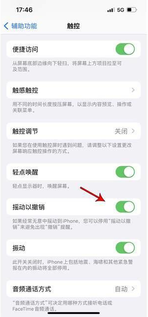 玛沁苹果手机维修分享iPhone手机如何设置摇一摇删除文字 